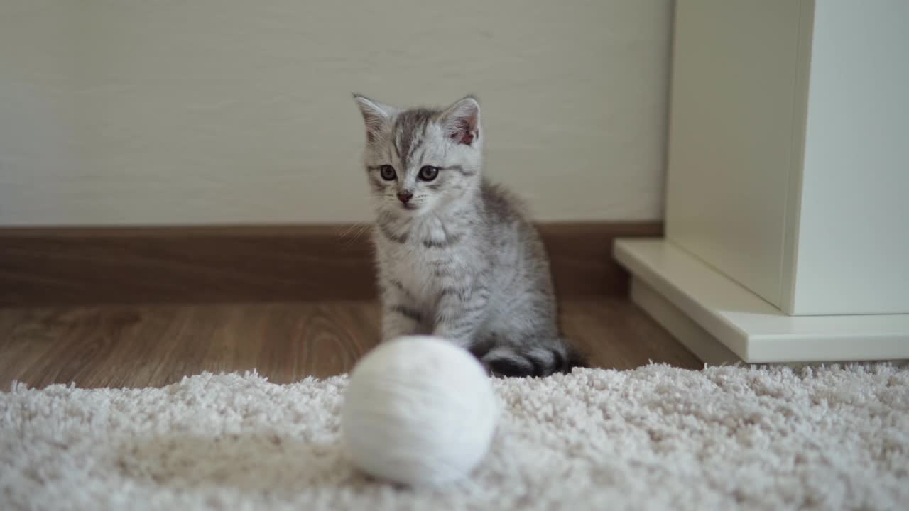 宝宝和小猫玩。Tomcat在地毯上靠近燃烧的壁炉在家里舒适。条纹小猫玩线球。凯蒂跑去看摄像机。快乐可爱的宠物，童年，野性自然的概念视频素材