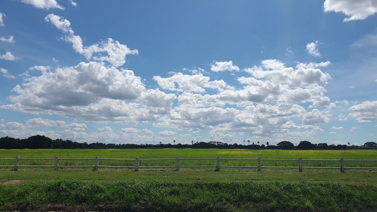 麦田和蓝天视频素材