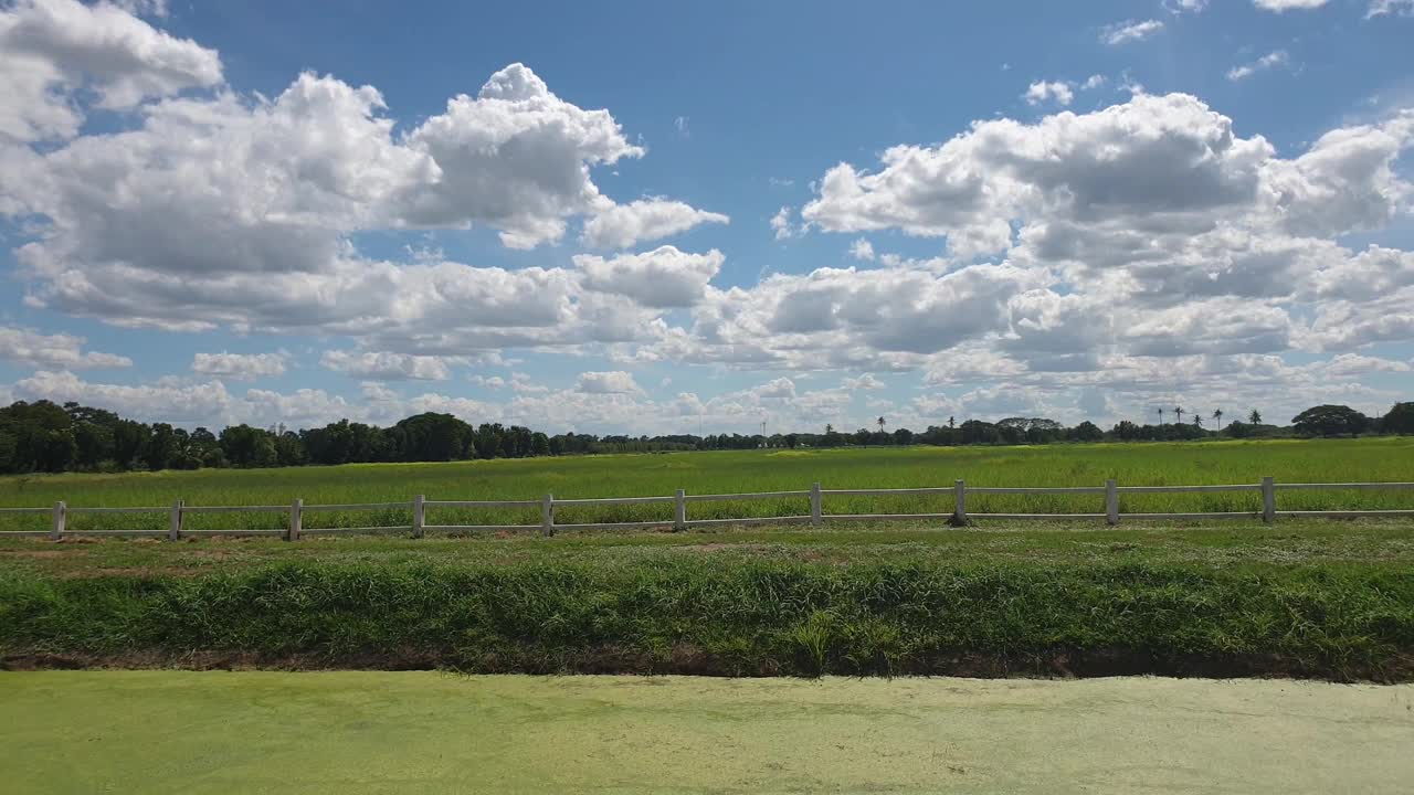 麦田和蓝天视频素材