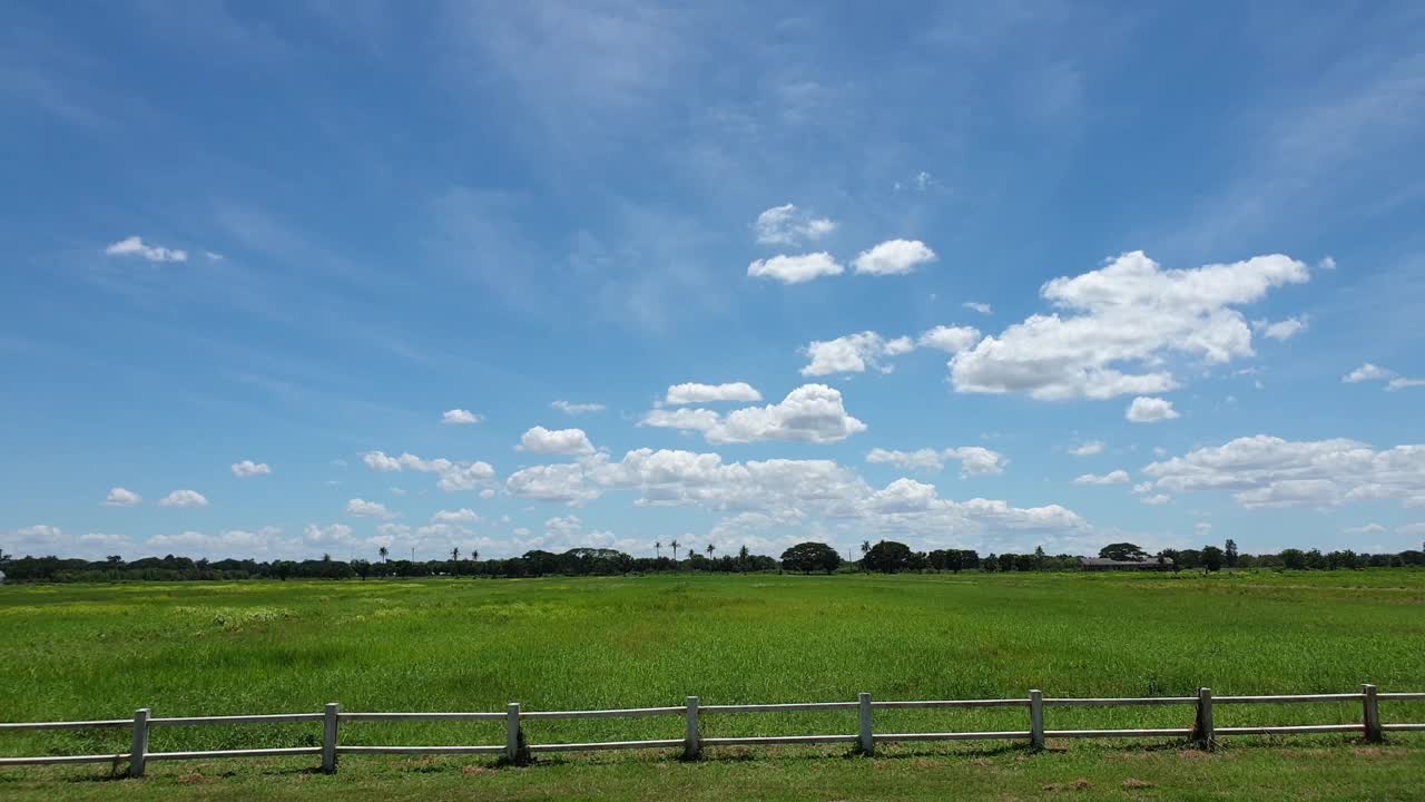 麦田和蓝天视频素材