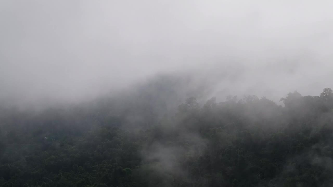 在有雾的日子里，森林里的绿色山脉景观视频素材