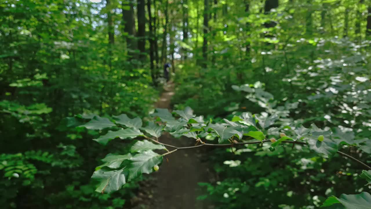 骑山地车的人穿过森林视频素材