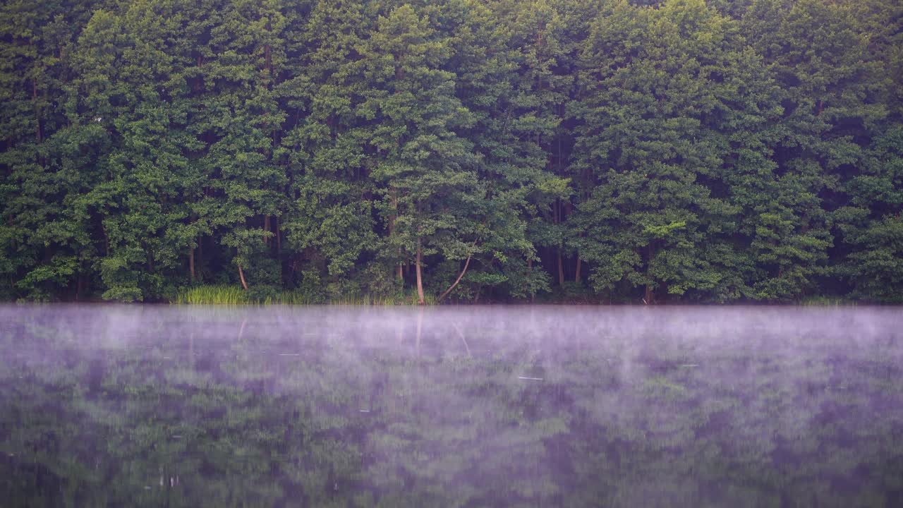 湖边绿树成荫的森林倒影在平静的水面和雾霭之上视频素材