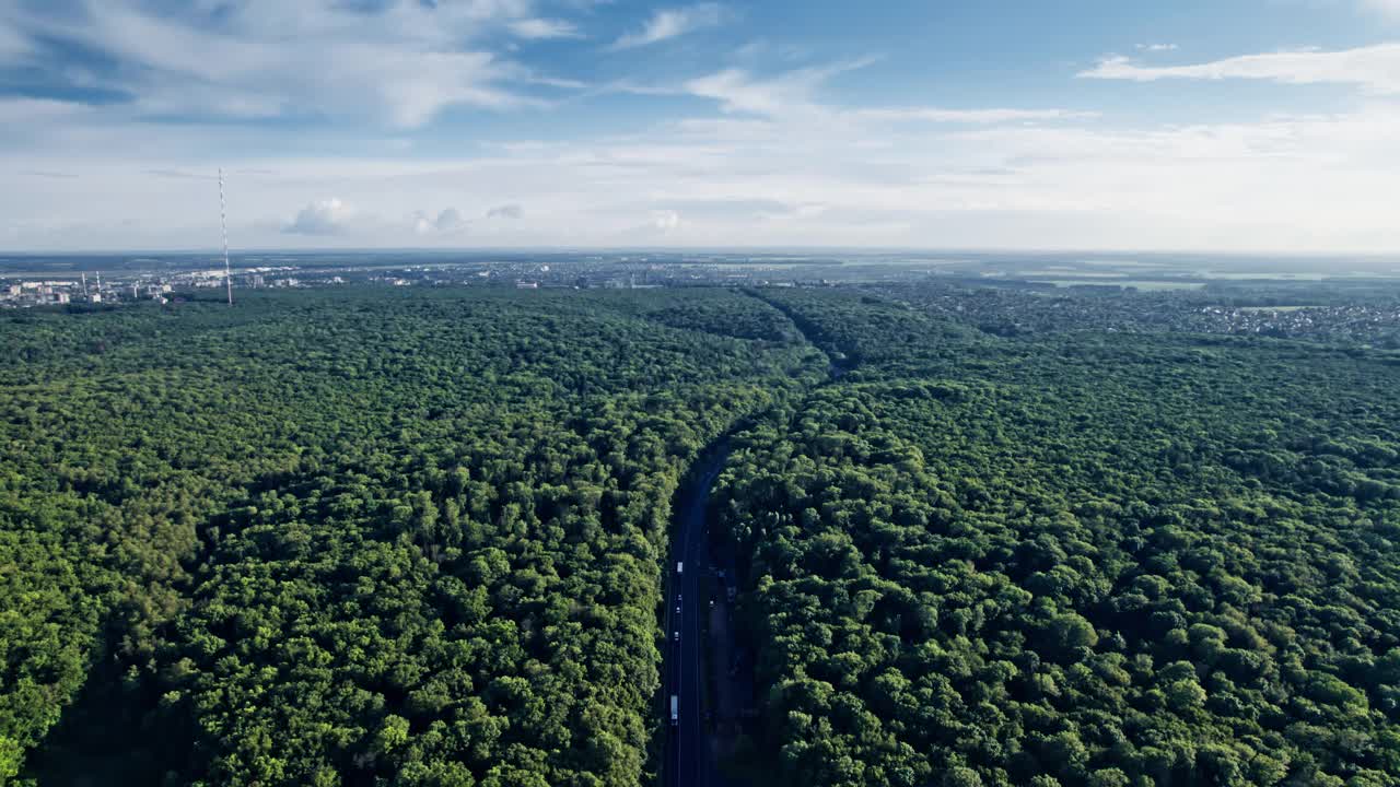 在欧洲阳光明媚的日子里，汽车在森林道路上行驶视频素材