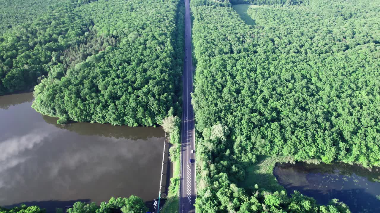 鸟瞰图的汽车道路在光秃秃的森林视频素材