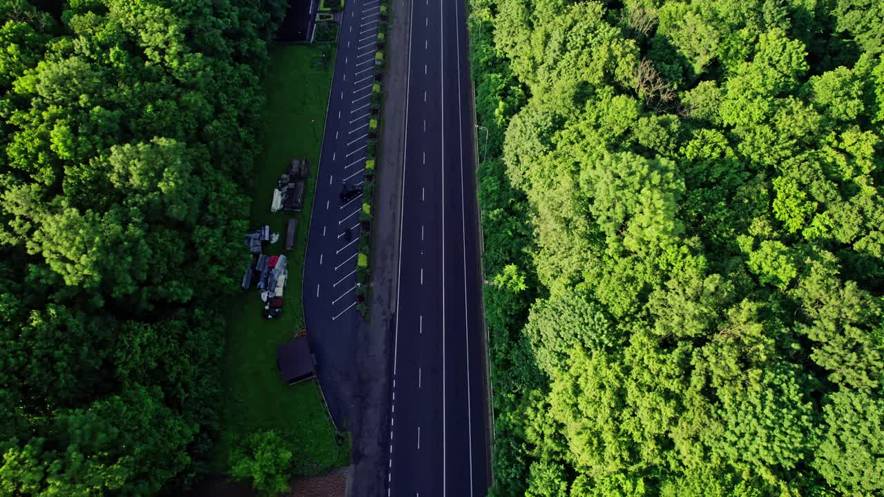 鸟瞰图的汽车道路在光秃秃的森林视频素材