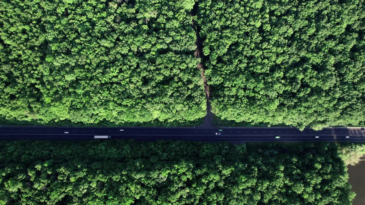 鸟瞰图的汽车道路在光秃秃的森林视频素材