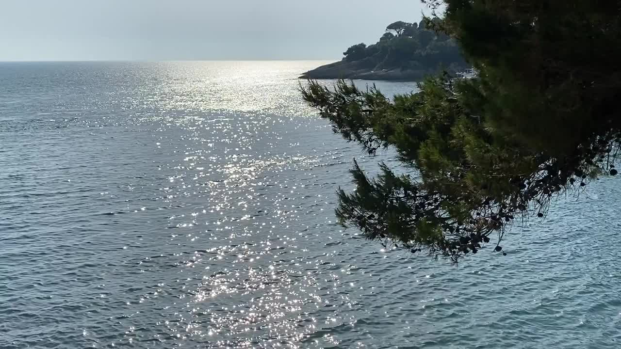 银色的海水在夏天波涛汹涌。密密麻麻的松枝越过大海。地平线上的热带岛屿。浪漫的银色的《暮光之城》。视频素材