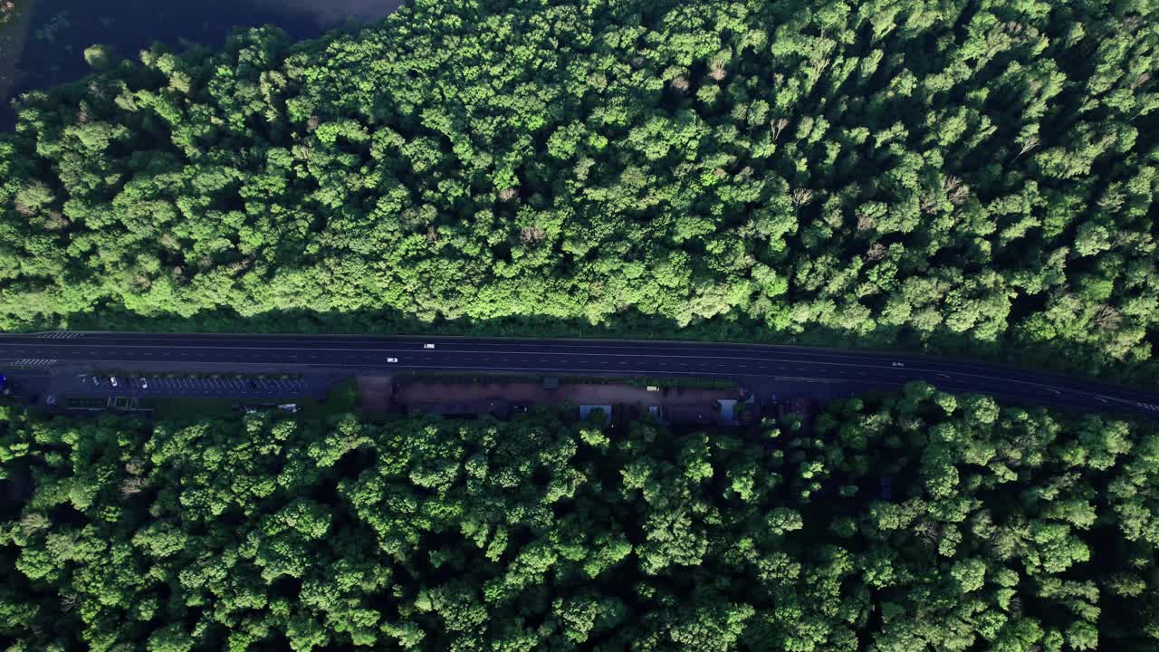 鸟瞰图的汽车道路在光秃秃的森林视频素材