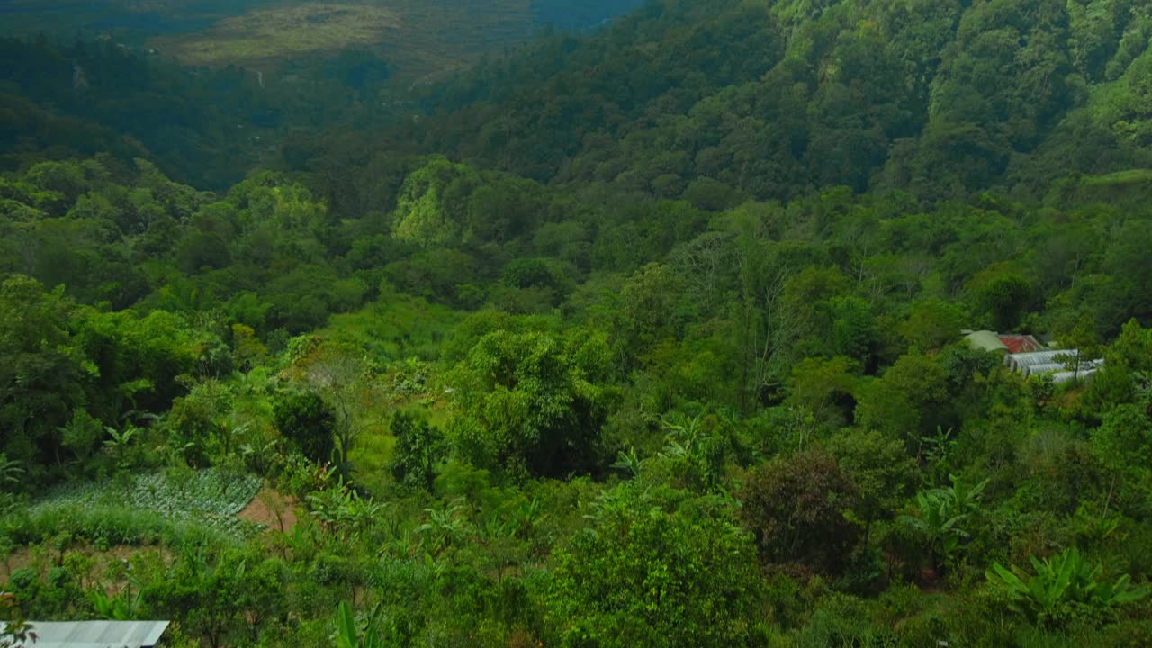 印度尼西亚的巴图尔火山有绿树和高云视频素材