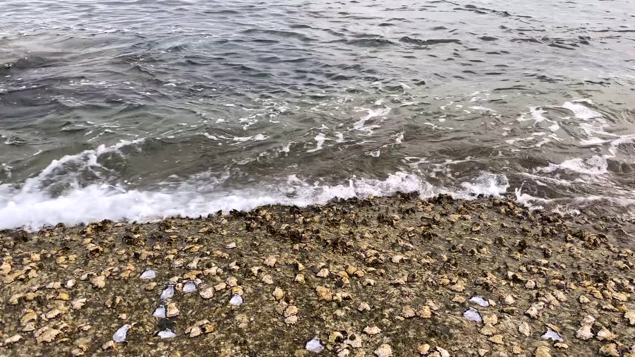 海滩与波浪的特写视频素材