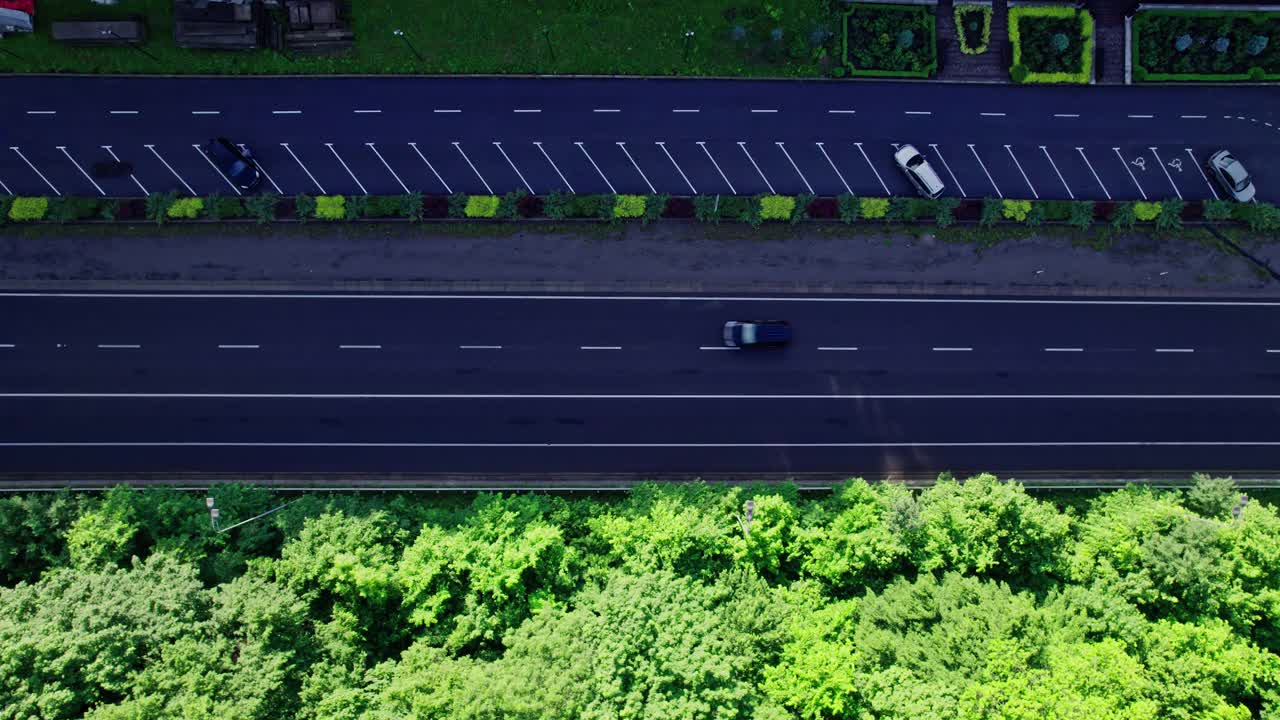 道路两侧绿油油的森林视频素材