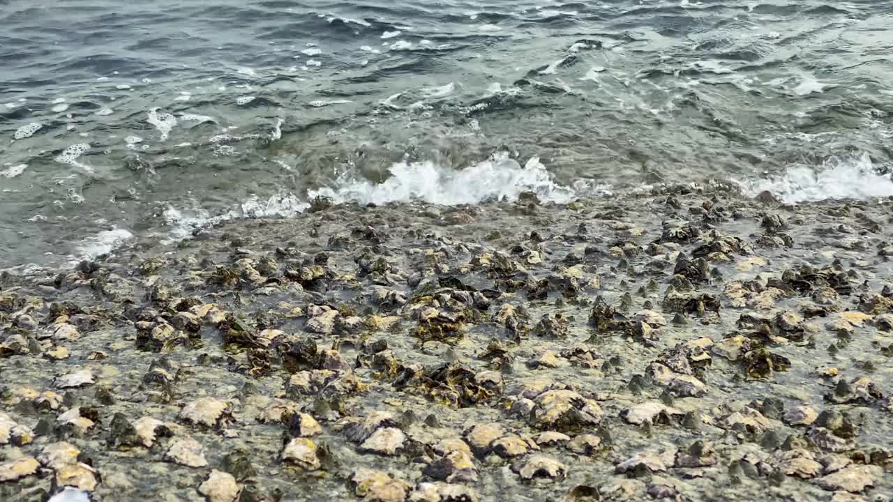 海滩与波浪的特写视频素材