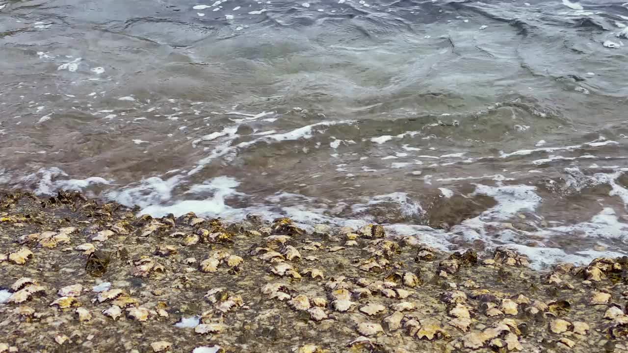 海滩与波浪的特写视频素材