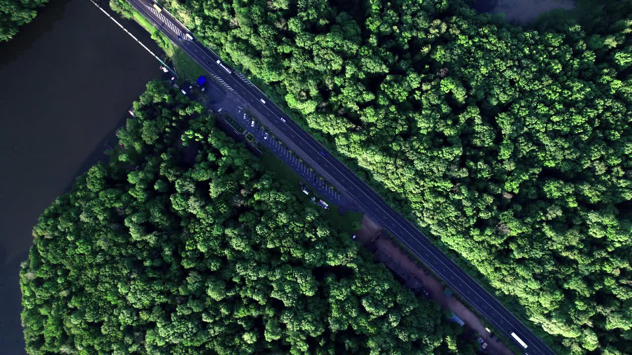 鸟瞰图的汽车道路在光秃秃的森林视频素材