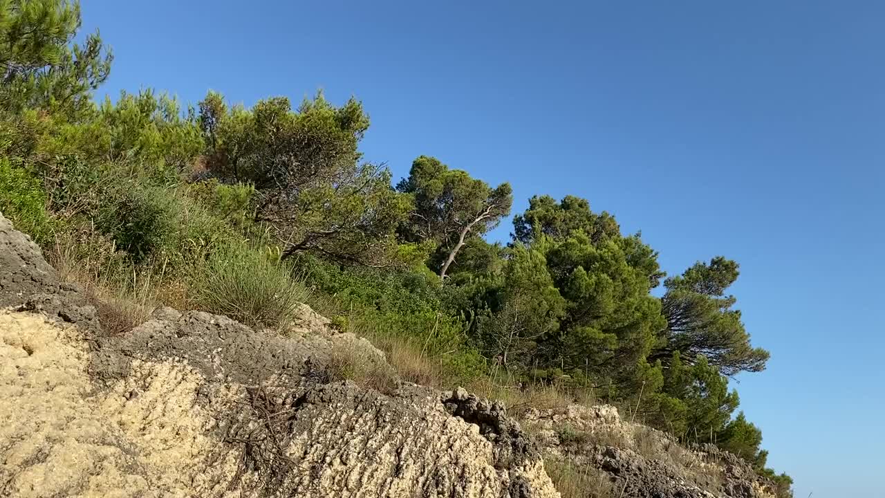 石壁上的松林针叶林。针叶树常绿茂密的冷杉树，地中海松树映衬着晴朗的蓝天。田园诗般的自然景观。视频素材