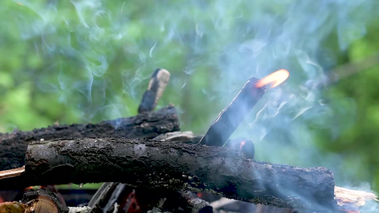 燃烧篝火，森林里的圆柴，火灾隐患视频素材