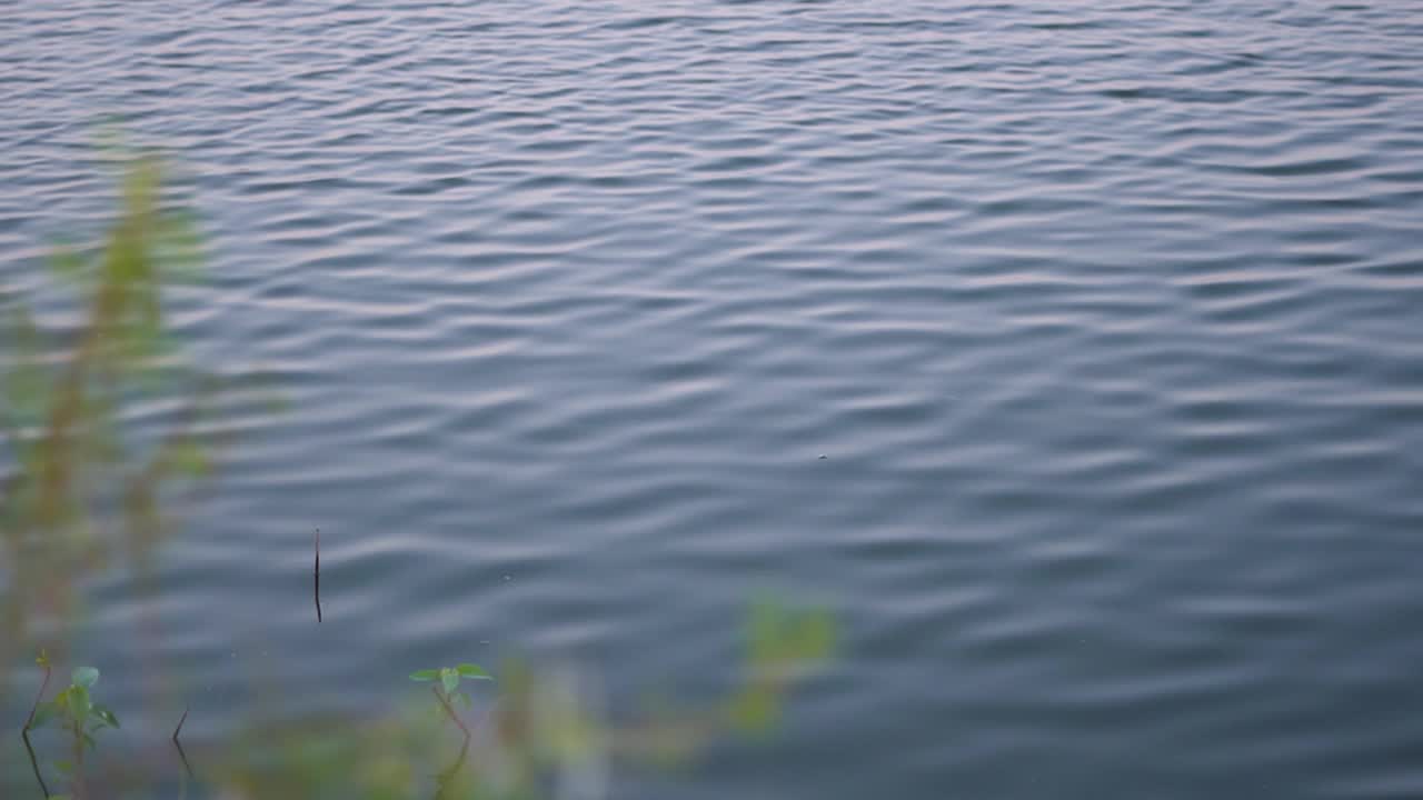 近距离拍摄的水涟漪在日落。水背景，水因风而形成波浪视频素材