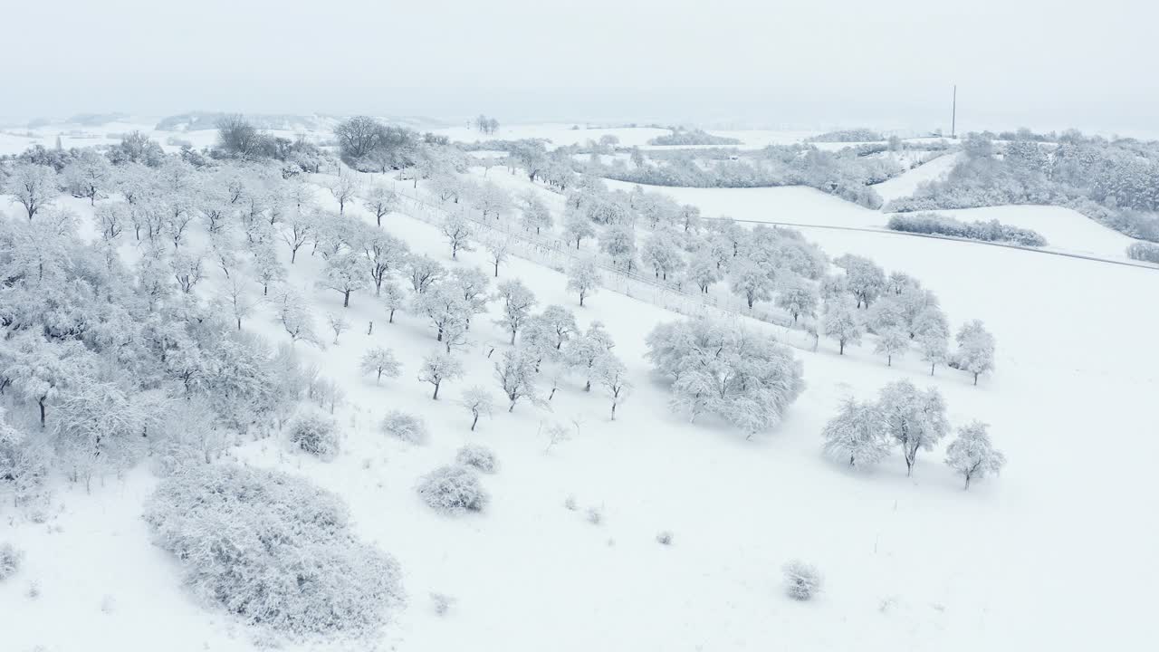 鸟瞰积雪覆盖的冬季景观，树木和草地。法国，巴伐利亚，德国，欧洲。视频素材