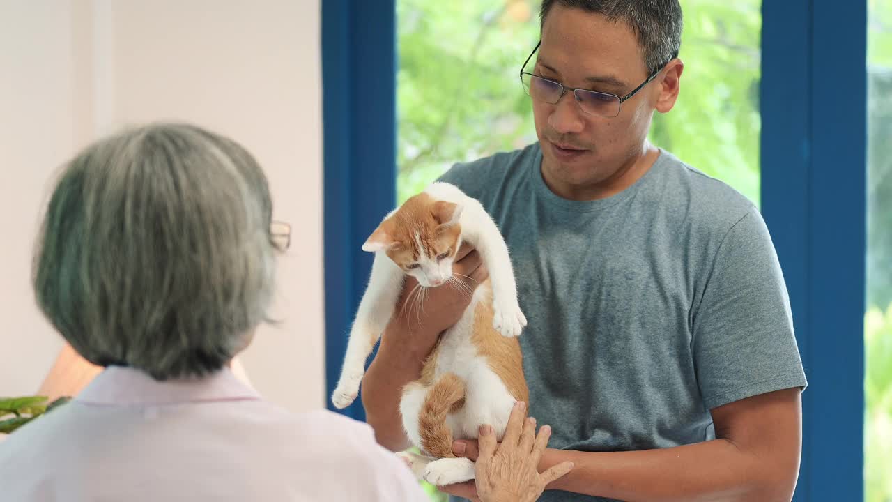 亚洲成熟男人在家和猫视频素材