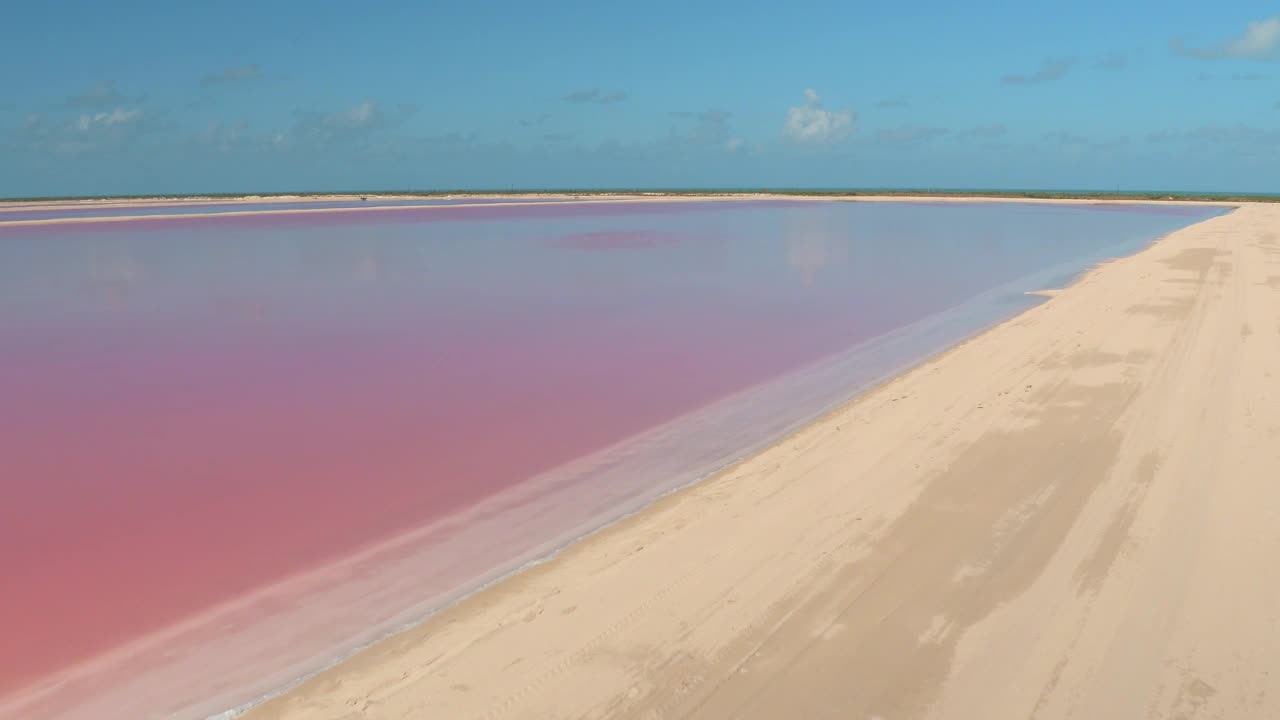 航拍:一名女性旅行者沿着一条空旷的土路穿过粉红色的盐湖。视频素材