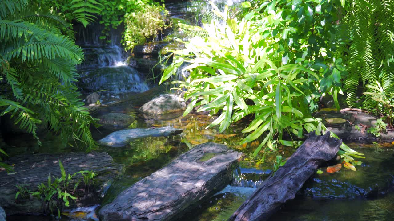 装饰池塘有喷泉和金鱼，鱼池有瀑布喷泉视频素材