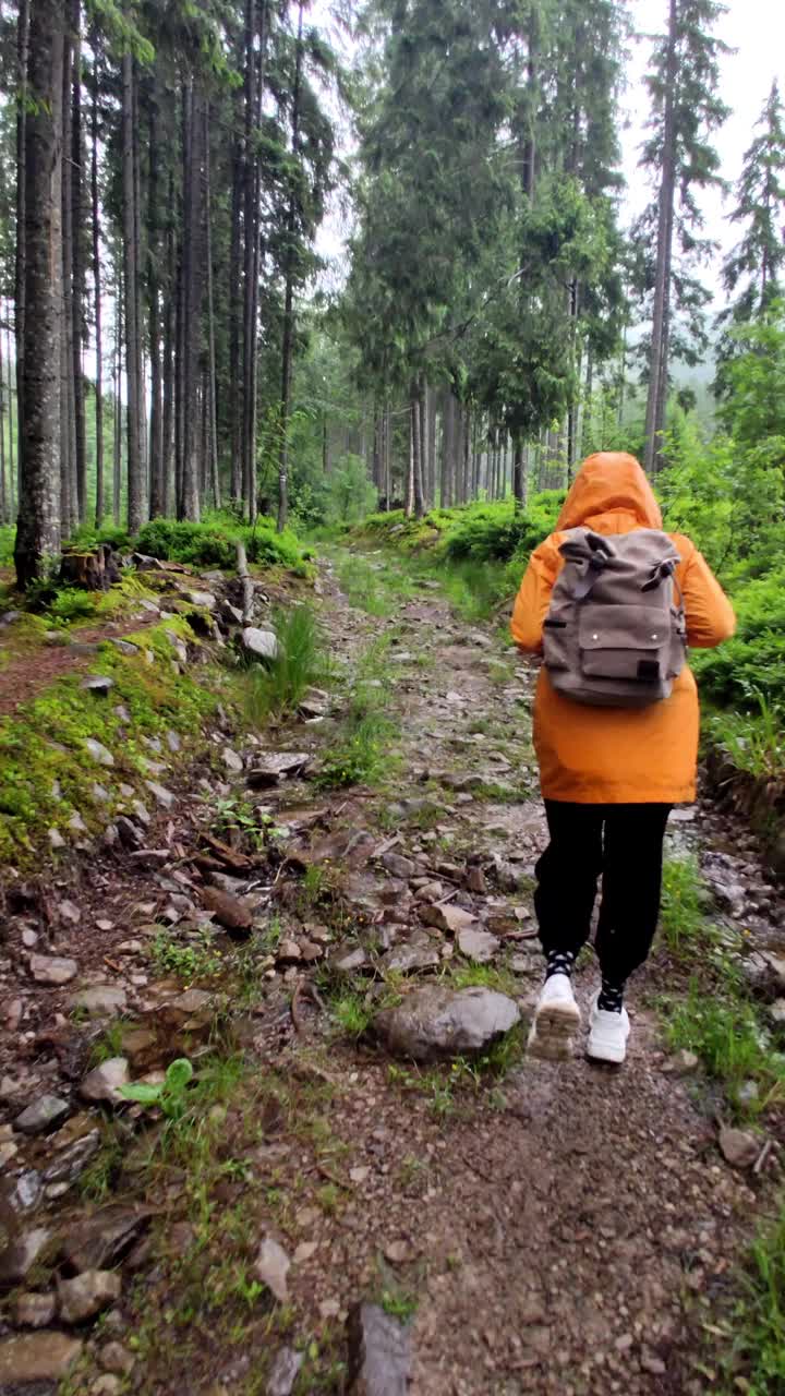 穿着黄色雨衣的女人正沿着山林小径徒步旅行视频素材