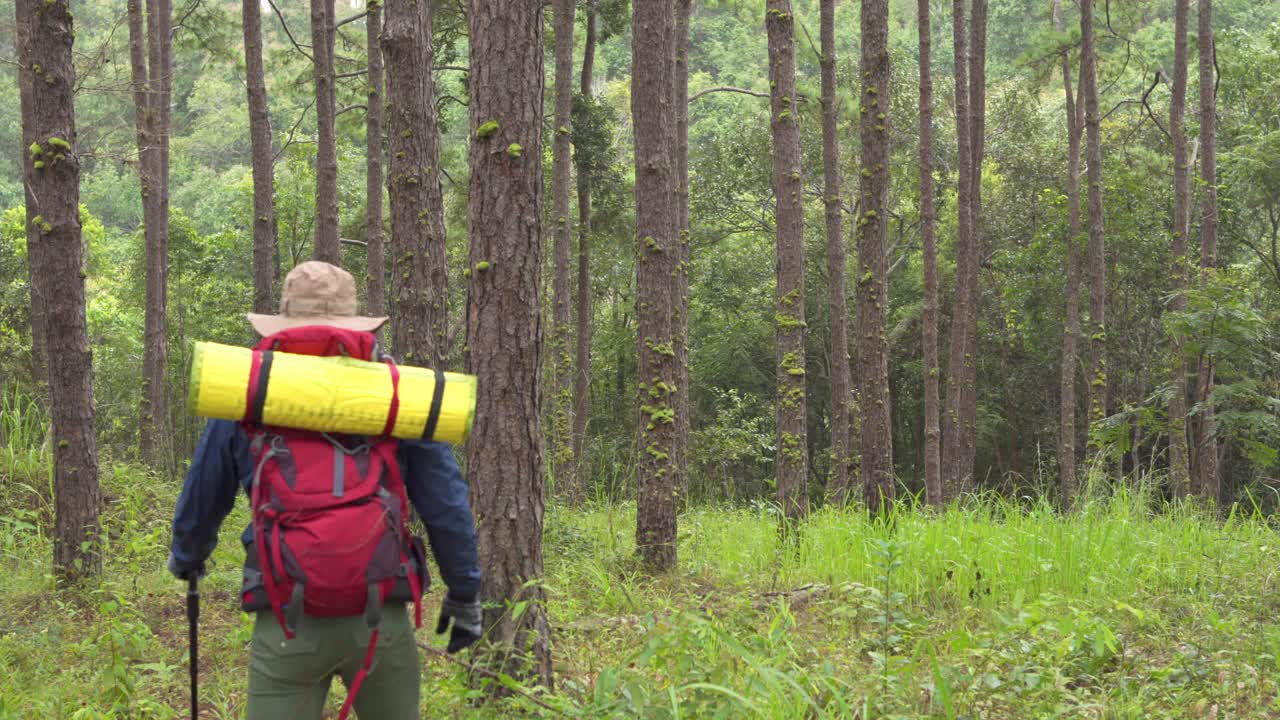 4K亚洲人背包客独自在松树林徒步旅行视频素材