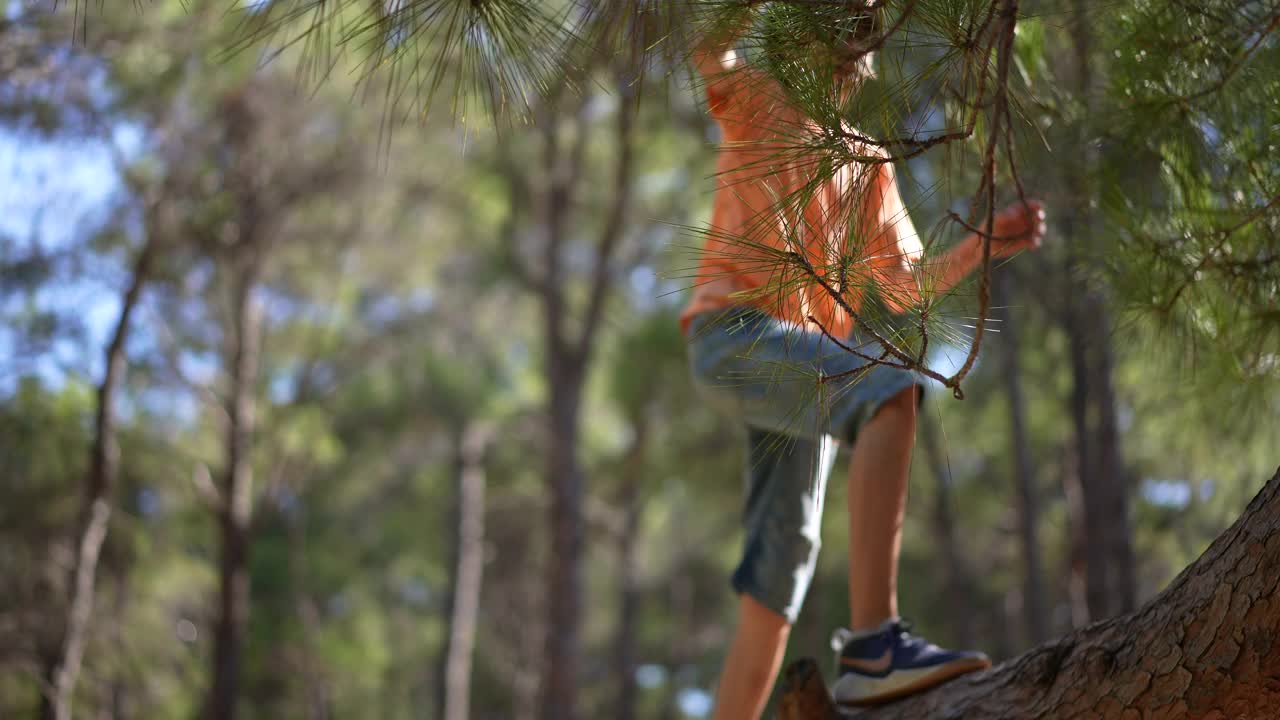 男孩在森林里倒下的树上保持平衡视频素材