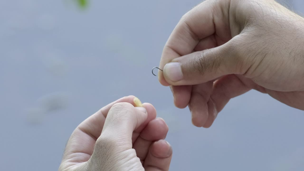 渔夫把鱼饵放在钩上钓鱼。人类的手把虫子放在鱼竿的钩上。钓鱼和渔具的场景。周末在河边享受大自然视频素材