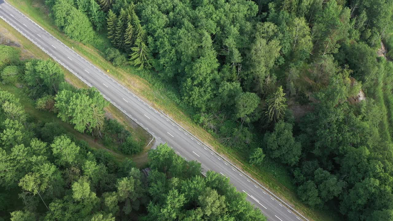 穿过森林的路视频素材