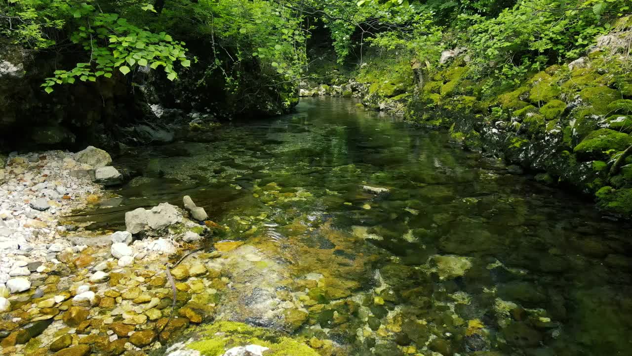 在夏天的小溪上无人机的观点视频素材