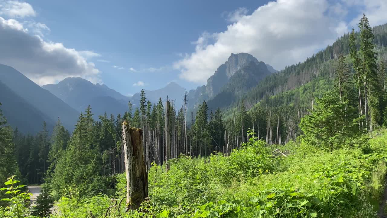 波兰Tatra山上视频下载