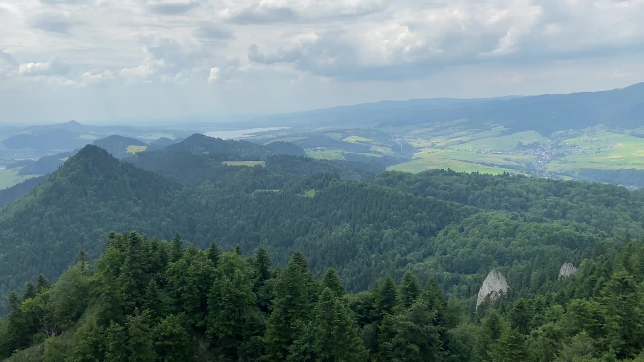 波兰的松树山视频素材