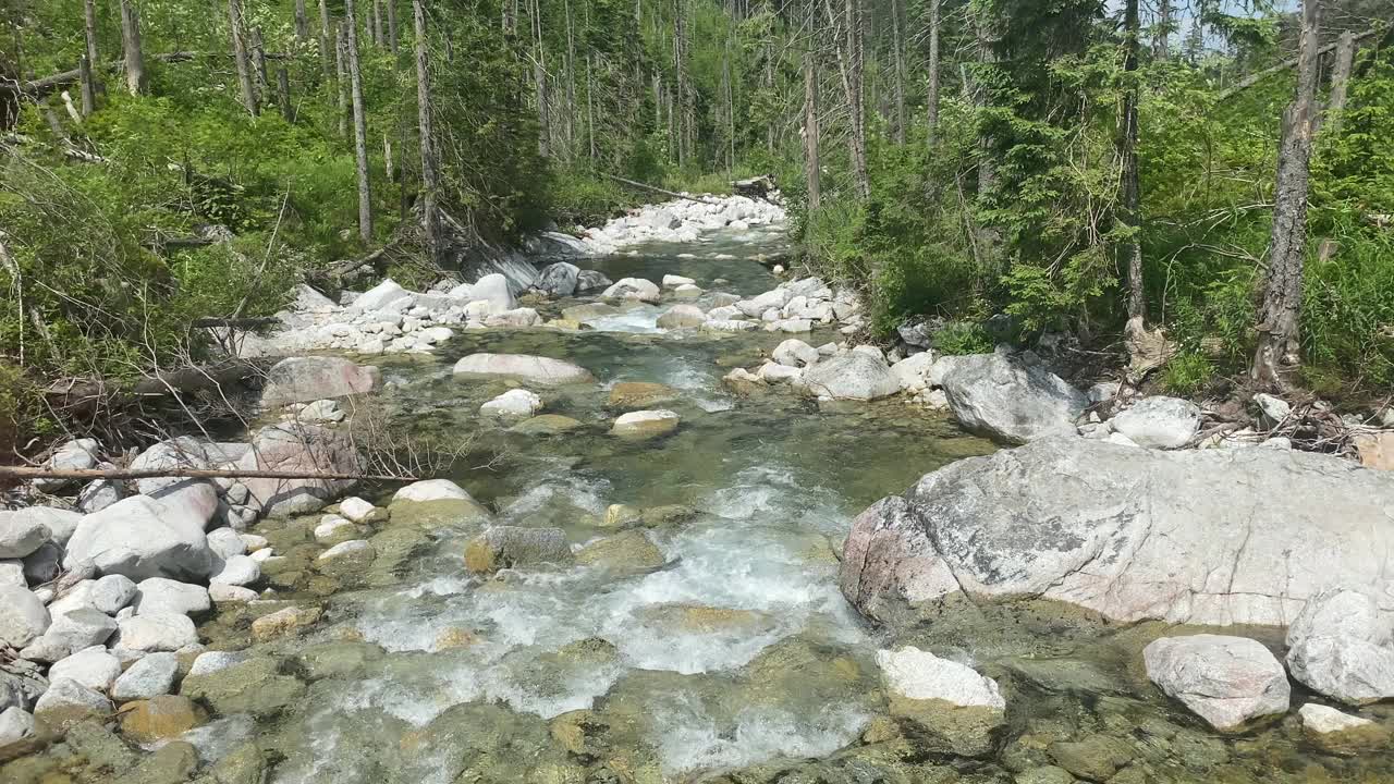 波兰塔特拉河中的一条河视频素材