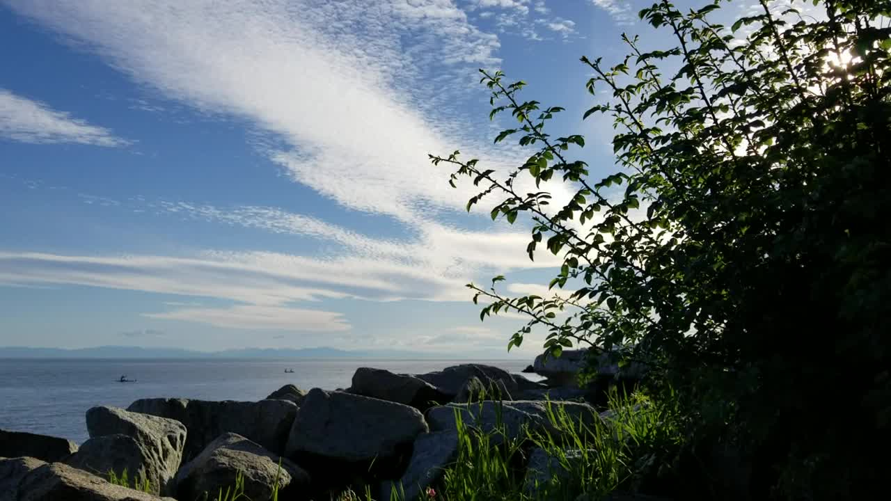 海滩上一个宁静、阳光明媚的下午视频下载