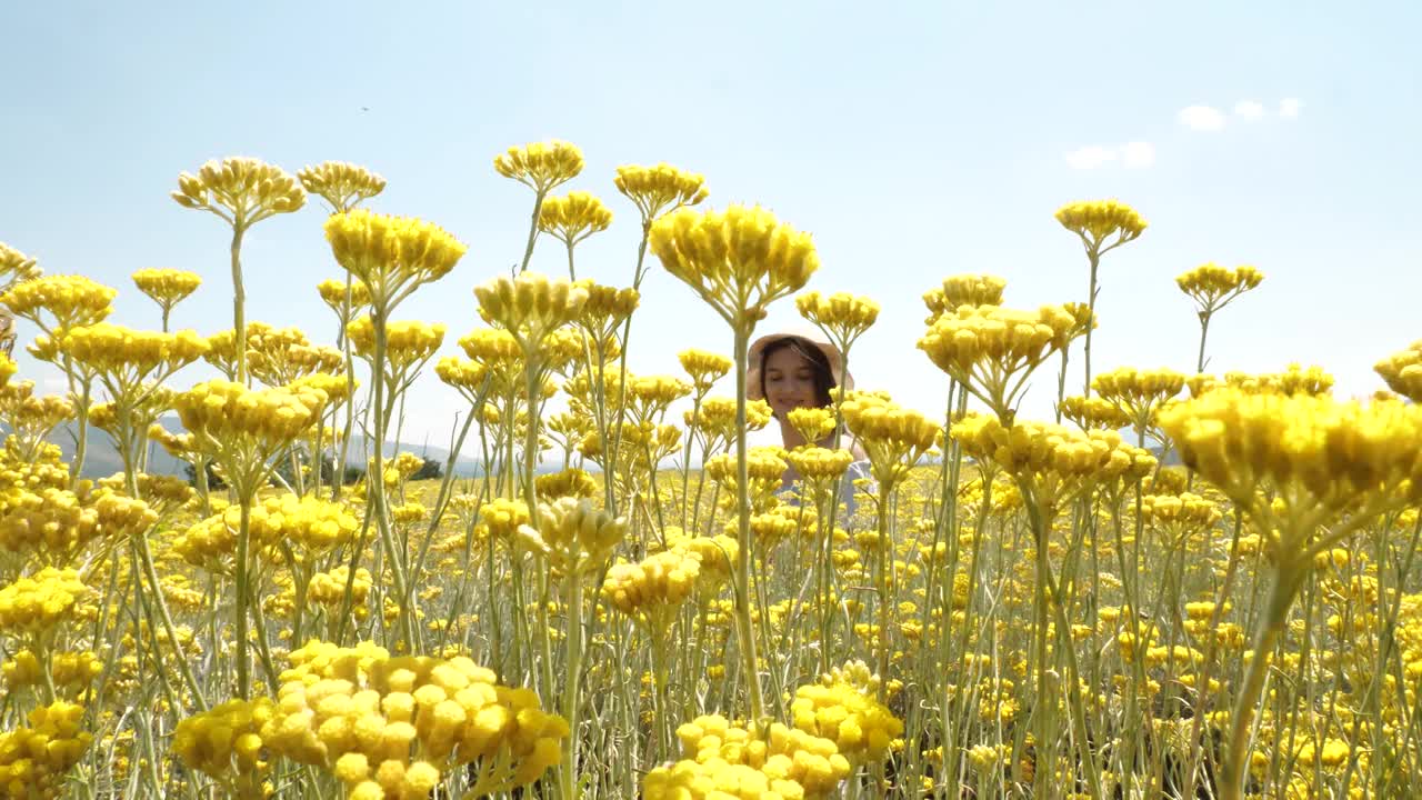 一个女孩在花丛中视频素材