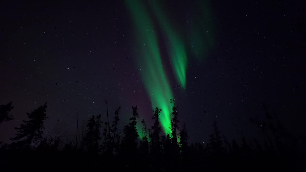 锁定时间流逝的风景在森林里的树木，而极光在星空-不列颠哥伦比亚，加拿大视频素材