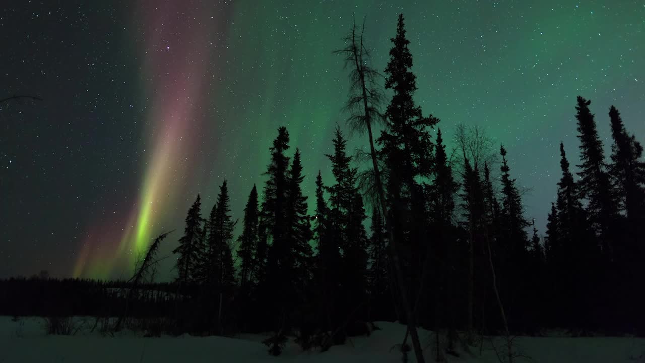 星空中的北极光，森林中的绿树覆盖白雪的景观-不列颠哥伦比亚省，加拿大视频素材