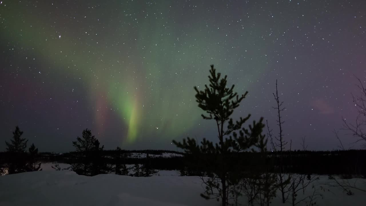 当北极光在天空中移动-不列颠哥伦比亚，加拿大，美丽的树在雪覆盖的景观上的时间流逝视频素材