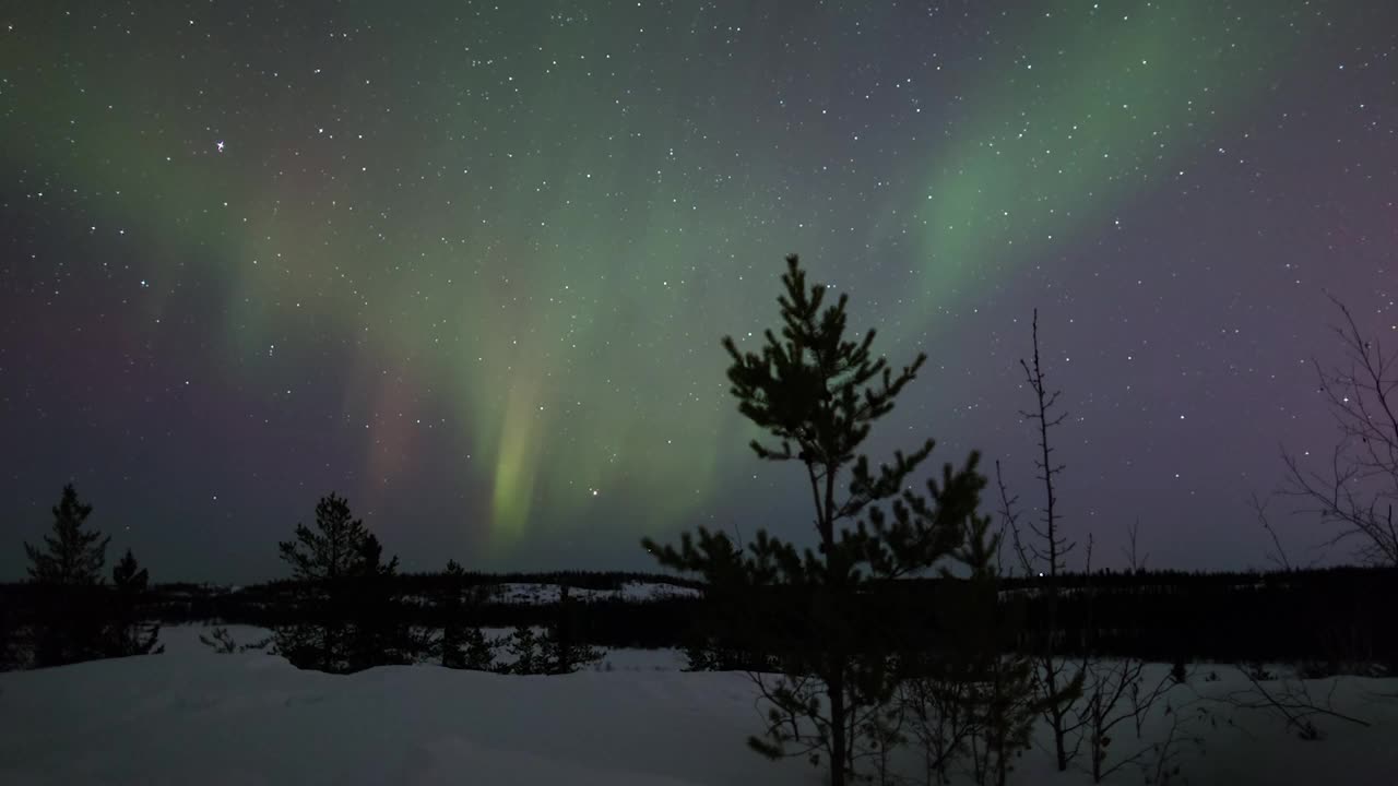 时间流逝风景的树在白雪覆盖的景观对星空-不列颠哥伦比亚，加拿大视频素材