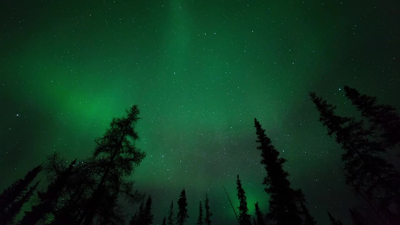 封锁延时风景拍摄的北极光星空下森林在晚上-不列颠哥伦比亚，加拿大视频素材