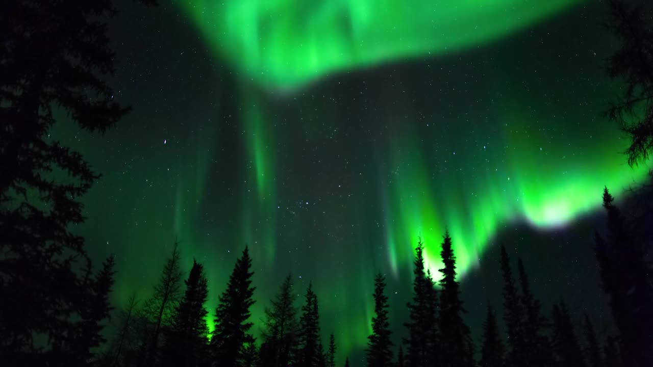 绿色北极光在森林中移动的时间镜头在夜间-不列颠哥伦比亚，加拿大视频素材