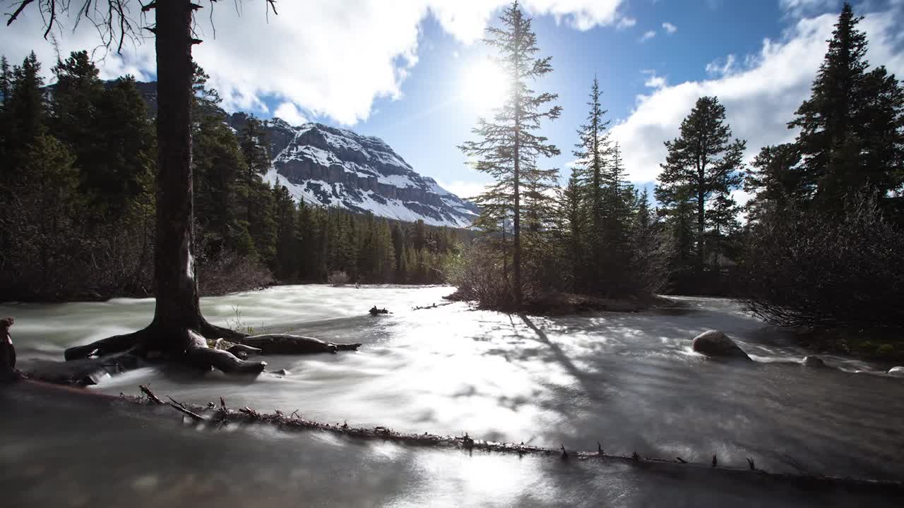 在阳光明媚的日子里，在雪山森林里的河流的时间推移风景-不列颠哥伦比亚省，加拿大视频素材