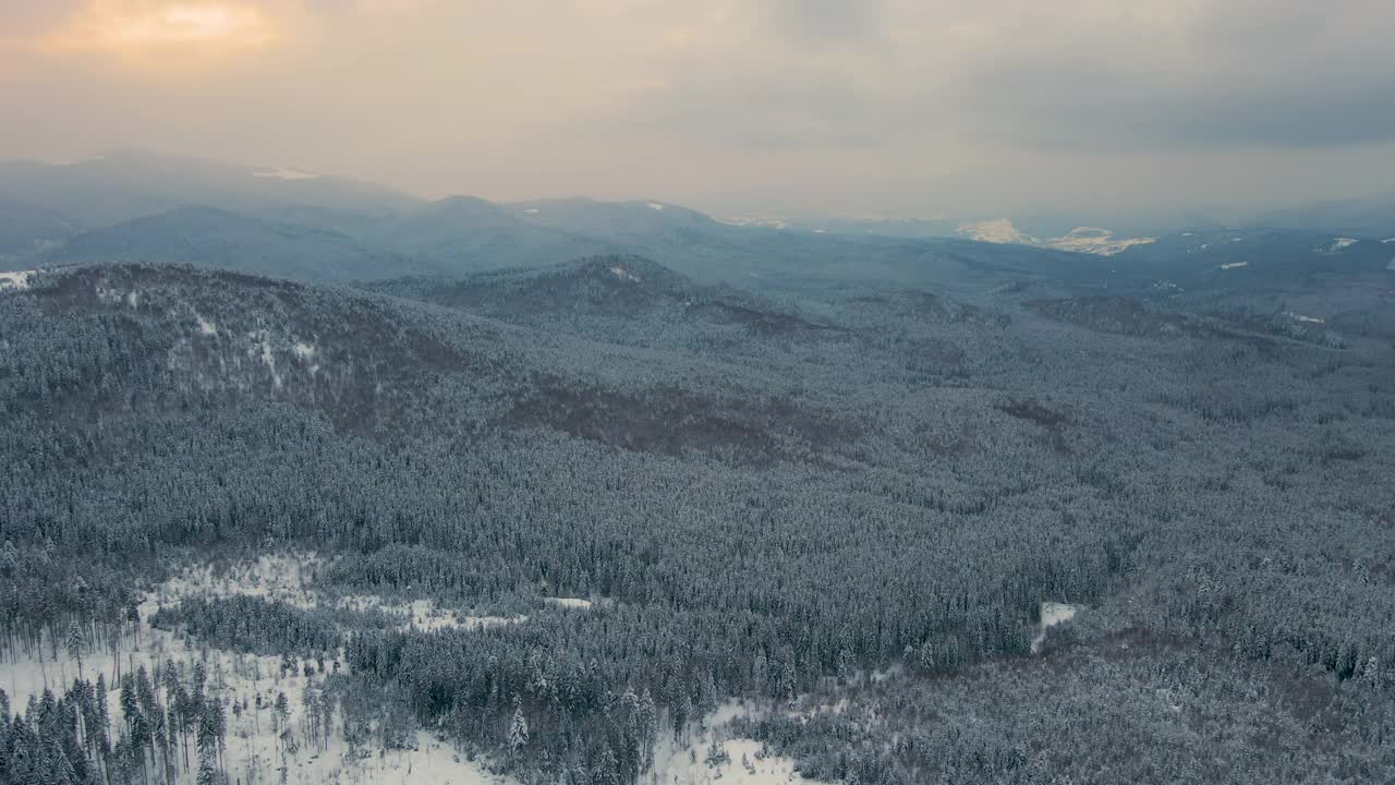 空中的冬季景观与雪山覆盖森林杉树在寒冷的山区。视频素材