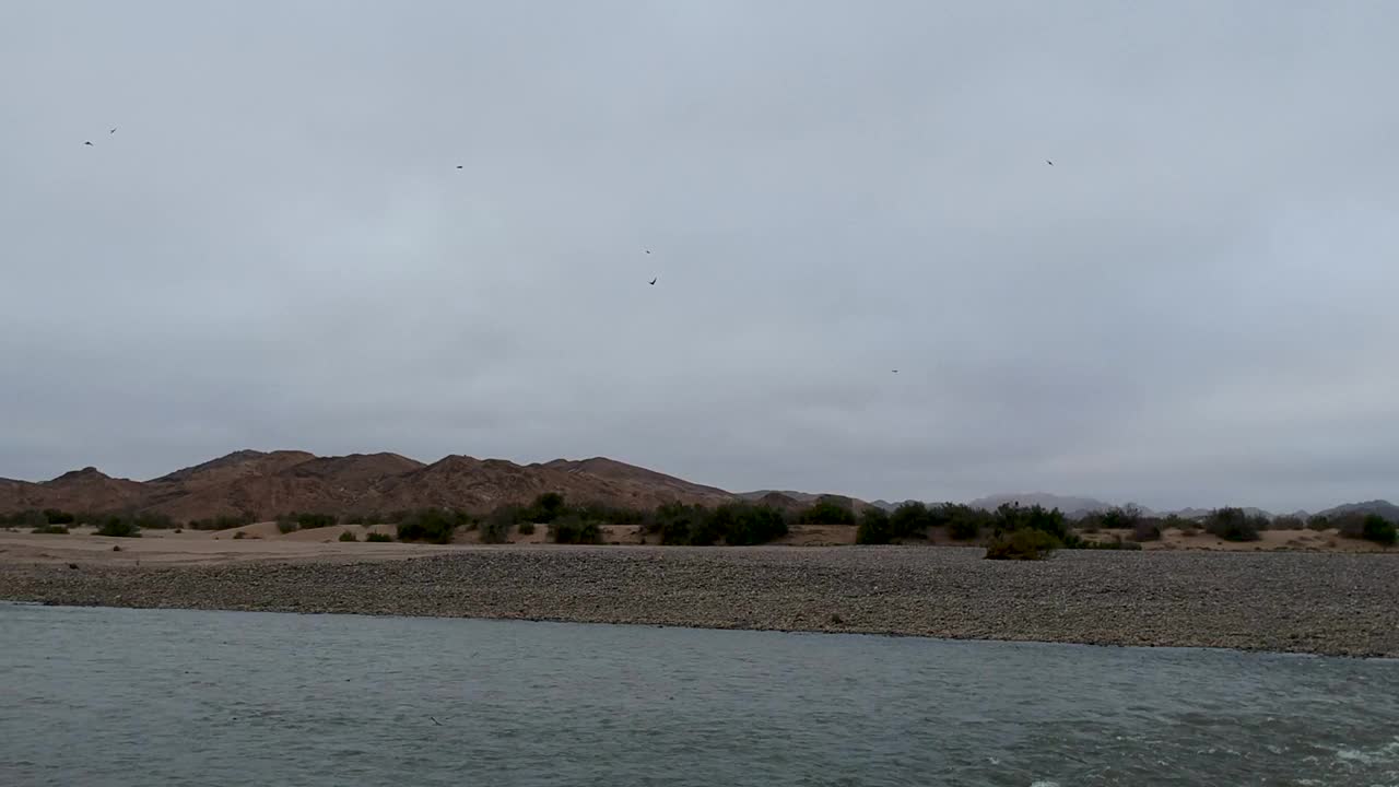 燕子飞过河流，背景是山脉视频素材