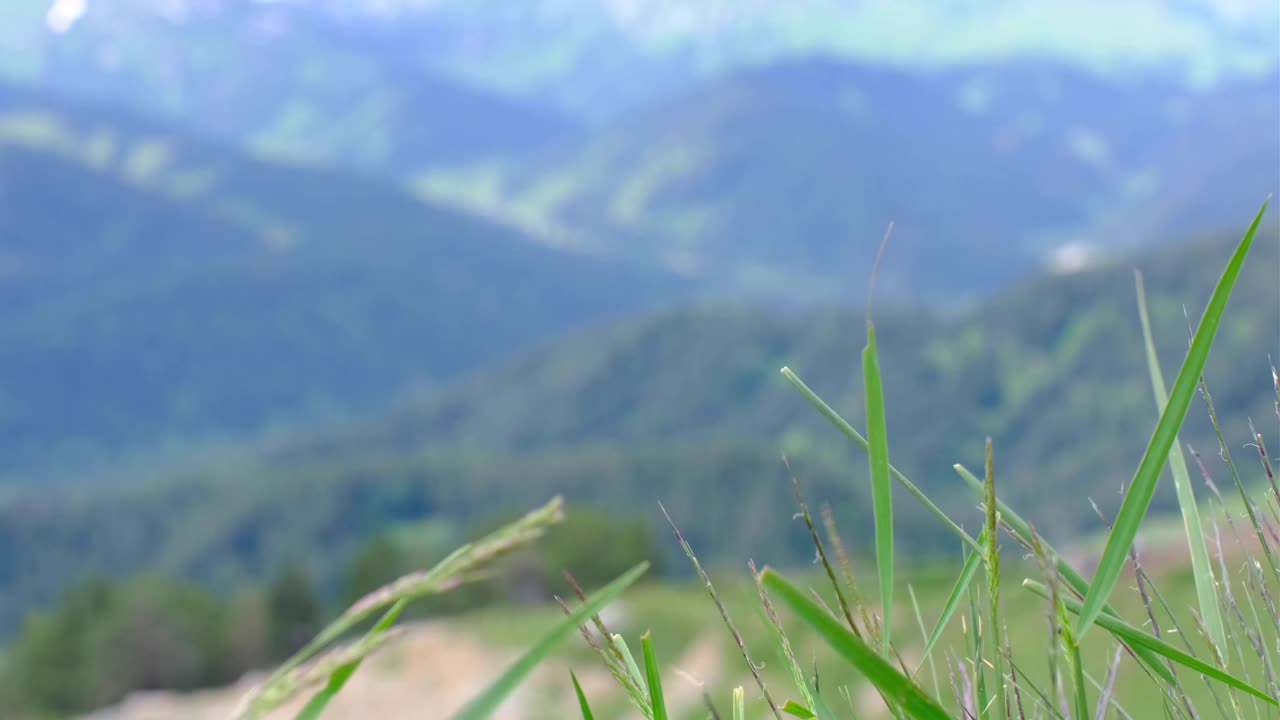 视频与山景和绿色的草在前景。视频素材