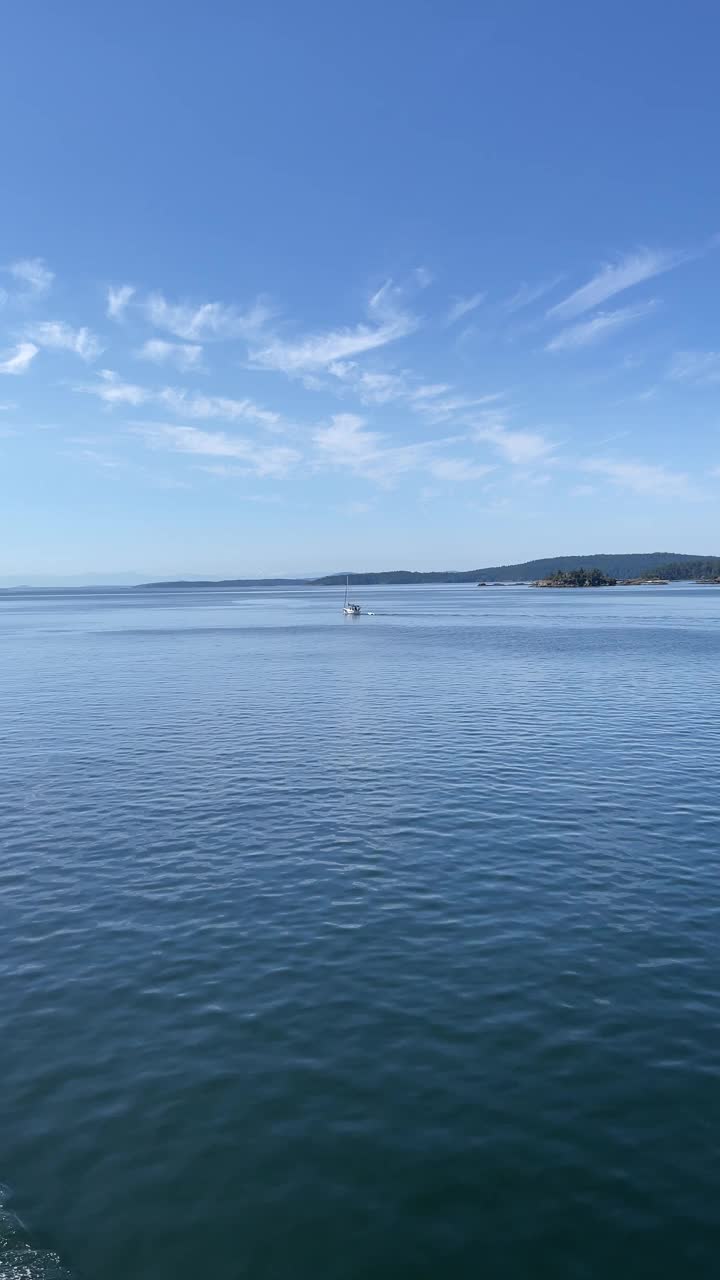 乘船穿过海湾群岛视频素材