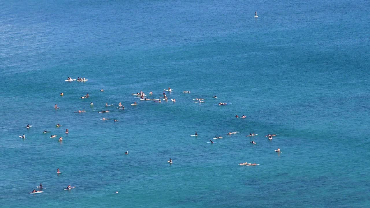 在威基基海滩等待海浪的冲浪者视频素材