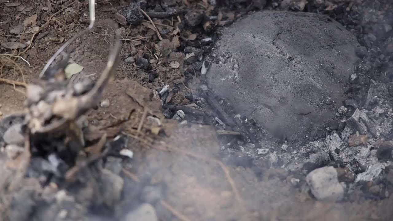 用粘土覆盖鸡肉，烤鸡在壁炉的特写镜头视频素材